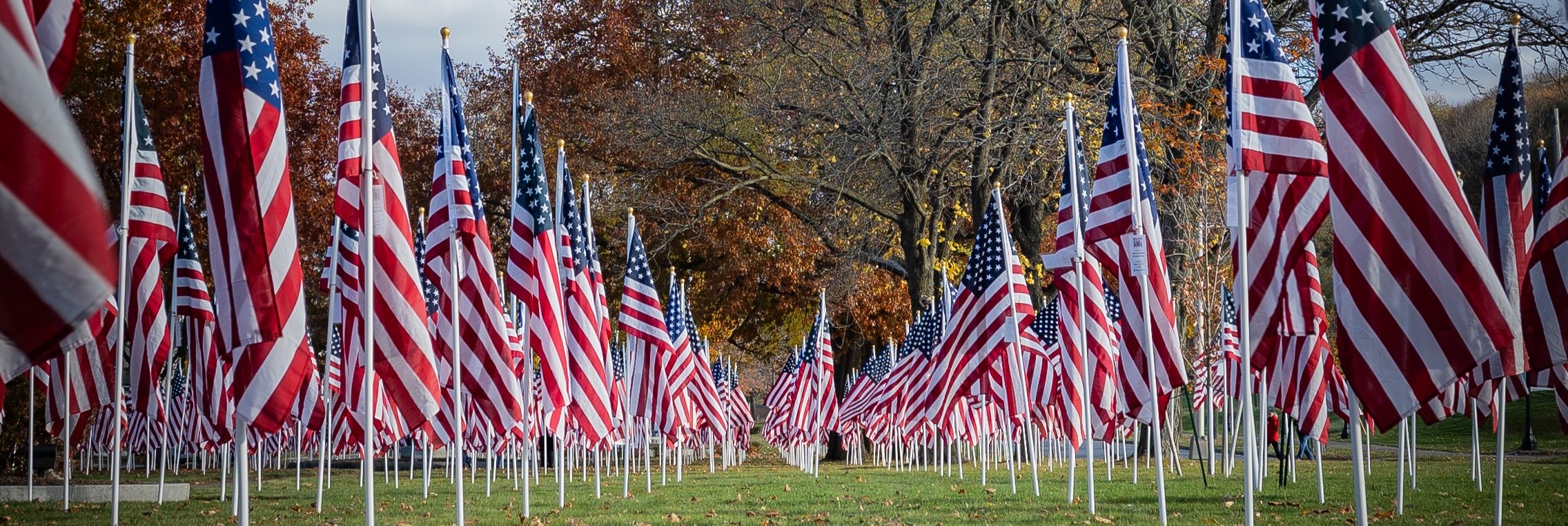 Flags For Heroes
